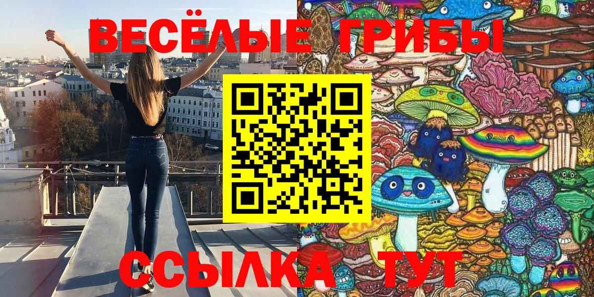 Коммунар  Псилоцибиновые грибы MAGIC MUSHROOMS  Вход с VPN  Галлюциногенные грибы GOLDEN TEACHER 